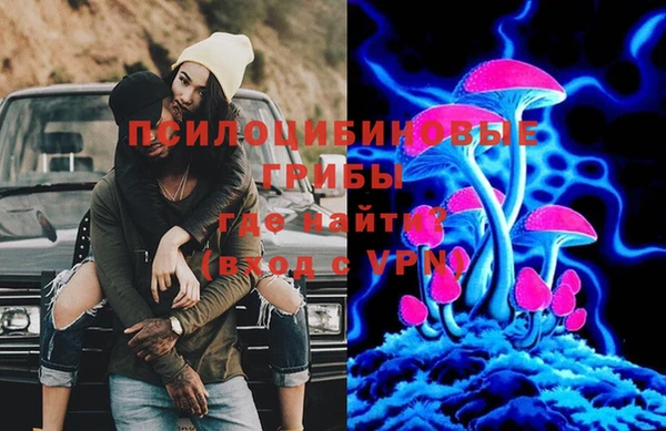 эйфоретик Алексеевка