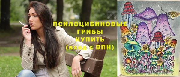 эйфоретик Алексеевка