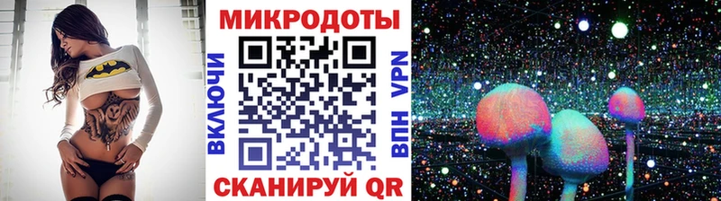 купить наркотики цена Новосиль Галлюциногенные грибы Cubensis